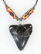 Polished Megalodon Tooth Necklace #43171-1